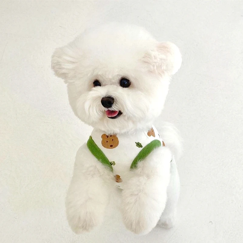 Hondenkleding Puppy Zomervest  - Summer Jumper Clothing recensie en prijs
